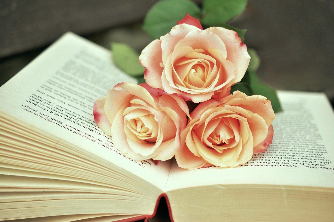 Resources a book, book pages, read, roses, romantic, literature, pages, paper, scroll, books, books, books, books, books, books